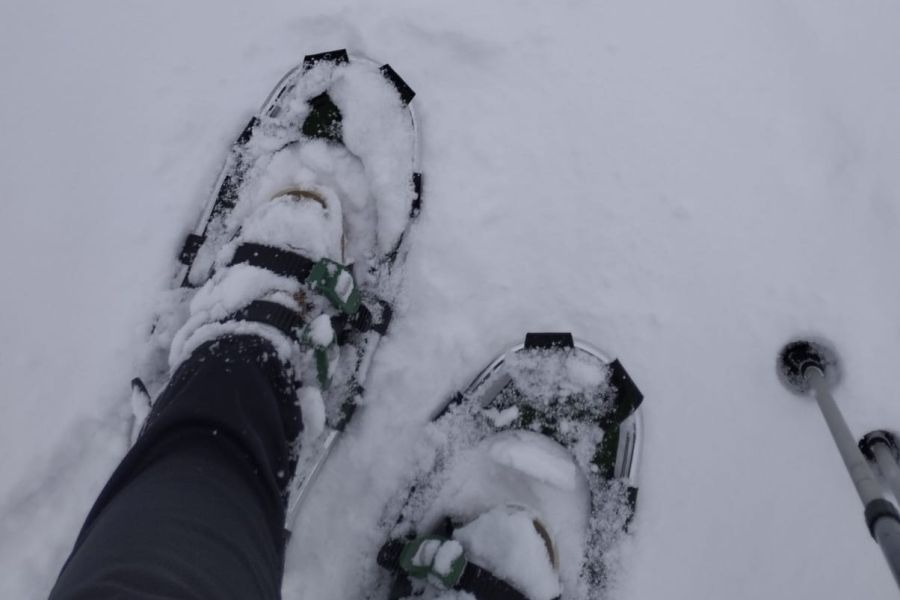 Schneeschuhe