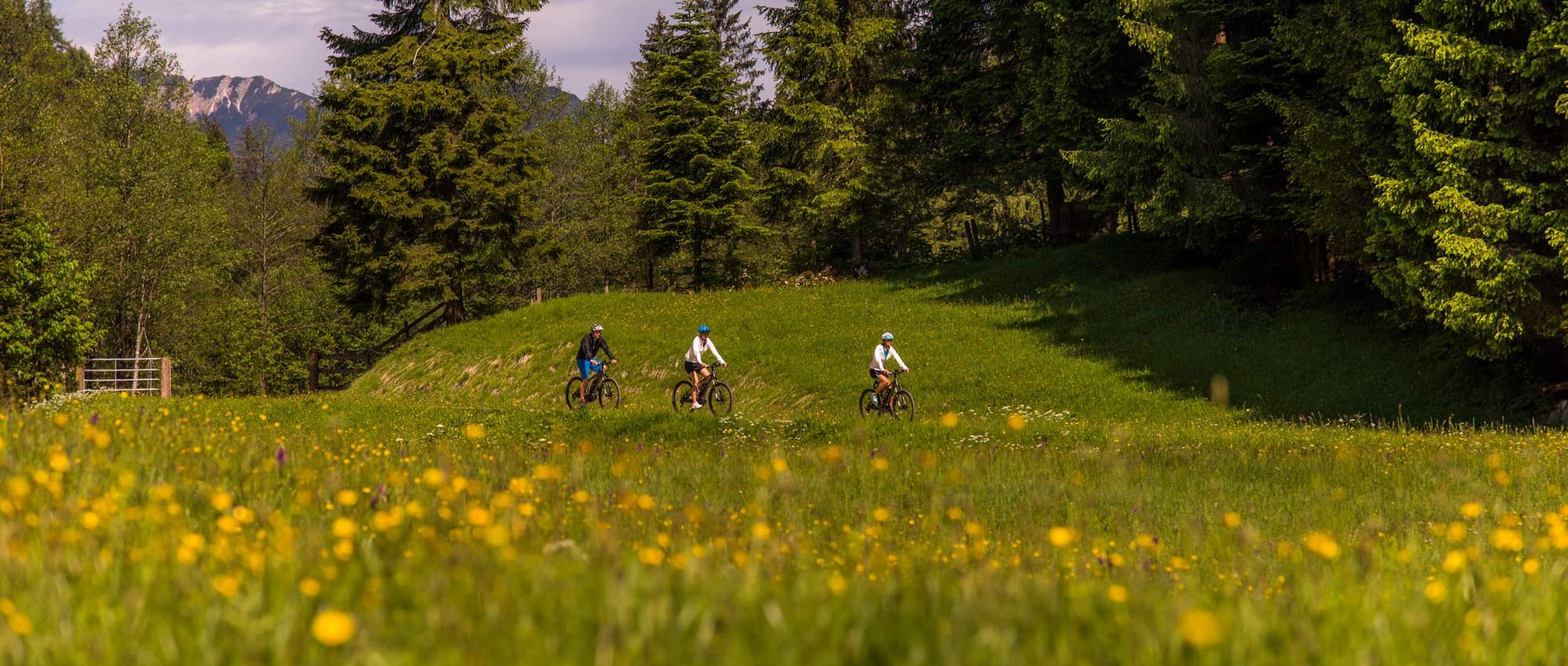 Radfahren im Saalachtal